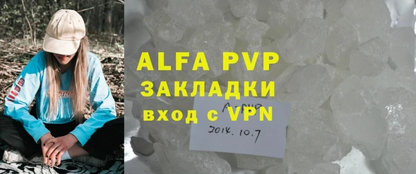 a pvp Бородино