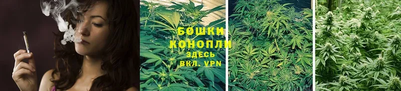 купить наркоту  сайты даркнета какой сайт  гидра ТОР  Канабис White Widow  Куса 